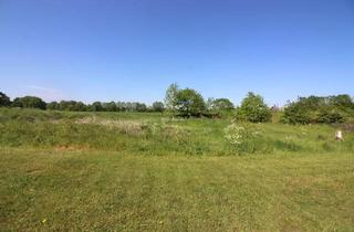 Immobilie kaufen in 24969 Lindewitt, Bebautes Grundstück mit großem Potential