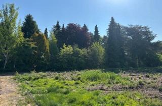 Immobilie kaufen in Worphauser Landstraße 52, 28865 Lilienthal, *Großes Grundstück in Worphausen*