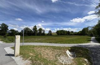 Immobilie kaufen in 94065 Waldkirchen, Landwirtschaftliche Fläche in Waldkirchen