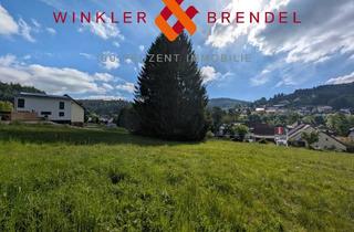 Immobilie kaufen in Flur-Nr. /, 95485 Warmensteinach, Bauherren aufgepasst: Baugrundstück in Warmensteinach