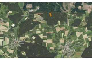 Immobilie kaufen in 91719 Heidenheim, Waldgrundstücke in der Gemarkung Hechlingen am See