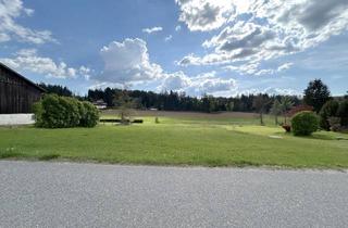 Immobilie kaufen in 94209 Regen, Baugrundstück mit Potenzial und Südausrichtung in ruhiger Lage in der Nähe von Regen, ca. 2.737 m²