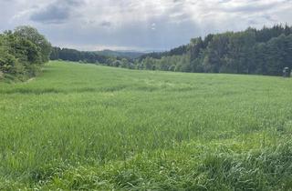 Immobilie kaufen in 92726 Waidhaus, Landwirtschaftliche Fläche mit guter Zufahrt in Reichenau!