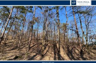 Immobilie kaufen in 15754 Kolberg, Bauträgerfreies Grundstück, nahe dem Wolziger See