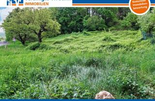 Immobilie kaufen in 67814 Dannenfels, Großes Baugrundstück für 1-2 Familienhäuser