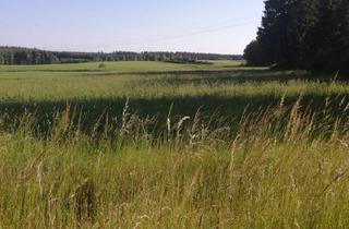 Immobilie kaufen in 95233 Helmbrechts, Wohnen in Helmbrechts in der Haa? Na, hoo!