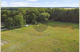 Immobilie kaufen in 14513 Teltow, Feldrand-, Wald- und Ortsrandlage: Großes Einfamilienhausgrundstück in Teltow, B-Plan vorhanden...