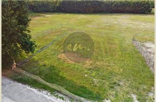 Immobilie kaufen in 14513 Teltow, Feldrand-, Wald- und Ortsrandlage: Großes Einfamilienhausgrundstück in Teltow, B-Plan vorhanden...