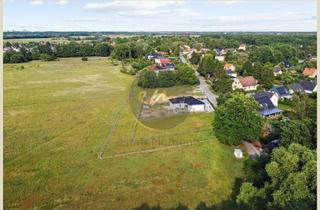 Immobilie kaufen in 14513 Teltow, Feldrand-, Wald- und Ortsrandlage: Großes Einfamilienhausgrundstück in Teltow, B-Plan vorhanden...