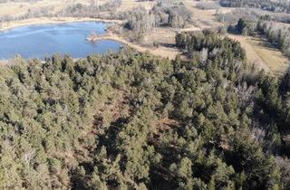 Immobilie kaufen in 83137 Schonstett, Traumhaftes, bewaldetes Freizeitgrundstück am Ameranger See bei Schonstett