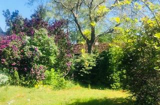 Immobilie kaufen in Strindbergstraße 17, 12621 Berlin, Grundstück