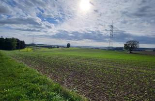 Immobilie kaufen in 84435 Lengdorf, "WERTVOLLES ACKERLAND MIT ÖKOLOGISCHER AUSGLEICHSFLÄCHE"