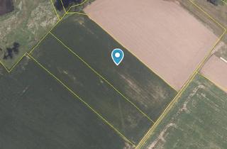 Immobilie kaufen in 94469 Deggendorf, Acker bei Natternberg