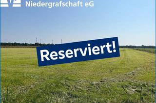 Immobilie kaufen in 49846 Hoogstede, Landwirtschaftliche Nutzfläche in Hoogstede-Scheerhorn