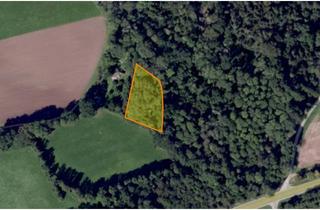 Immobilie kaufen in 91555 Feuchtwangen, Waldgrundstück vielfältigem Baumbestand