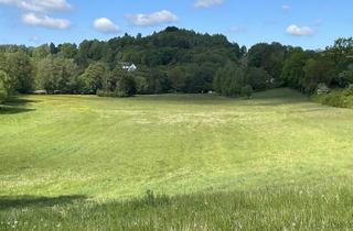 Immobilie kaufen in 92714 Pleystein, Landwirtschaftliche Fläche im Bereich Pleystein zu verkaufen!