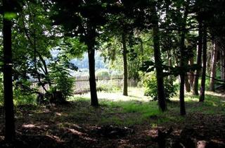 Immobilie kaufen in 48163 Münster, 865m² Grundstück am ruhigen Waldrand | Ideal für Einfamilienhaus oder Doppelhaus