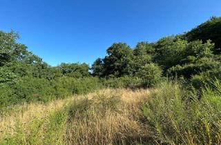 Immobilie kaufen in 55606 Hahnenbach, Hahnenbach: Großzügiges Baugrundstück in ruhiger Sackgassenlage