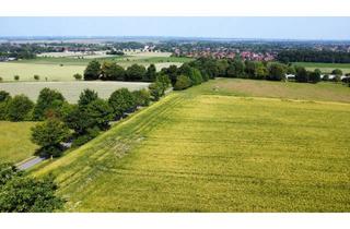 Immobilie kaufen in 49448 Lemförde, 1 Hektar Ackerland am Lemförder Berg zu verkaufen!