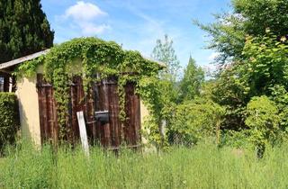 Immobilie kaufen in 95237 Weißdorf, Reduziert!Baugrundstück in altem Baumbestand