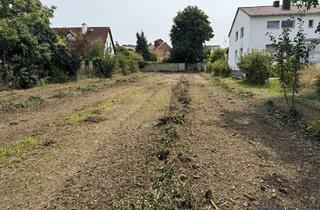 Immobilie kaufen in 55234 Erbes-Büdesheim, Baugrundstück in Innerortslage