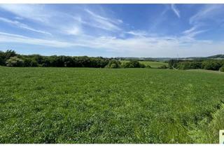 Immobilie kaufen in 53567 Buchholz, Traumhaftes Grundstück mit Fernblick in Toplage von Buchholz