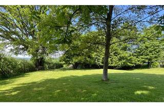 Immobilie kaufen in 53567 Buchholz, Sehr attraktives Grundstück in Toplage von Buchholz – Platz für Ihr Traumhaus