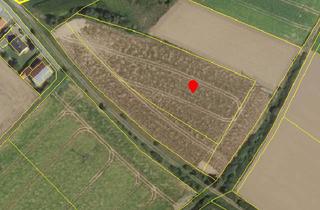Immobilie kaufen in 94569 Stephansposching, Acker bei Stephansposching 5830 m²