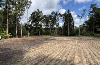 Immobilie kaufen in 21244 Buchholz, Sahnegrundstück für Ihr Traumhaus in besonders guter Lage gesucht?