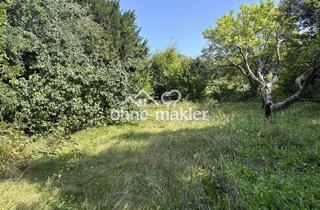 Immobilie kaufen in 66482 Zweibrücken, Großes Baugrundstück mit Garten in ruhiger Hanglage von Zweibrücken