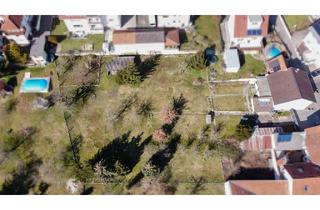 Immobilie kaufen in 74889 Sinsheim, Eine Rarität für Bauträger und Investoren.Großer Bauplatz mit vielerlei Gestaltungsmöglichkeiten!