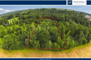 Immobilie kaufen in 74423 Obersontheim, Naturfreunde aufgepasst