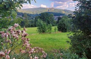 Immobilie kaufen in 94249 Bodenmais, Ein wahres Juwel - weitläufiges Freizeitgrundstück mit traumhaftem Blick auf den Silberberg in Bodenmais