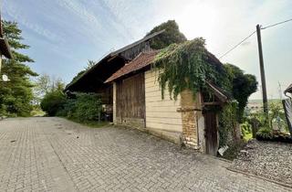 Immobilie kaufen in 67308 Ottersheim, Bauplatz mit Scheune