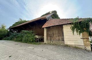 Immobilie kaufen in 67308 Ottersheim, Scheune mit toller Aussicht