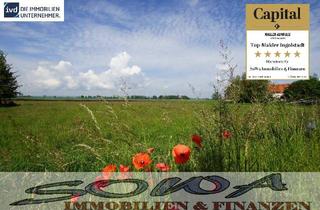 Immobilie kaufen in 86669 Königsmoos, Bauplatz - für Einfamilienhaus oder Doppelhaus, ohne Bauzwang in Stengelheim - Ein Objekt von SOWA Immobilien & Finanzen Ihrem Immobilienprofi vor Ort