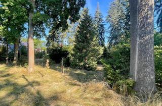 Garagen kaufen in 04821 Brandis, Großes Baugrundstück in Waldsteinberg!