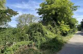 Immobilie kaufen in 69231 Rauenberg, Eine Baulücke für Ihr eigenes Familien-Zuhause!