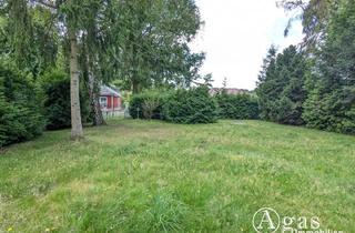 Immobilie kaufen in 16562 Bergfelde, Bauträgerfreies Grundstück mit Bungalow in idyllischer Waldrandlage in Bergfelde