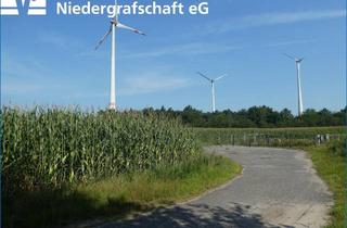Immobilie kaufen in 49828 Esche, Landwirtschaftliche Flächen in Esche