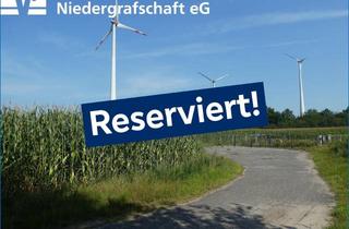 Immobilie kaufen in 49828 Esche, Landwirtschaftliche Flächen in Esche