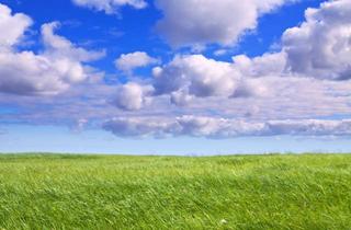 Immobilie kaufen in 72793 Pfullingen, Landwirtschaftsfläche (Ackerland oder Grünland) in Pfullingen gegen Höchstgebot!