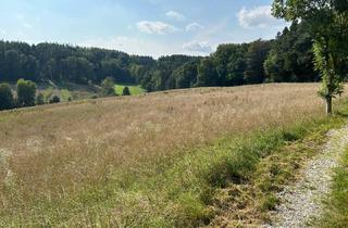 Immobilie kaufen in 84164 Moosthenning, Landw. Grundstück in Lengthal, ca. 1,5 ha, Gemeinde Mossthenning, Ackerboden