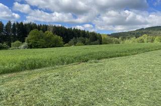 Immobilie kaufen in 92714 Pleystein, Landwirtschaftliche Fläche im Bereich Pleystein zu verkaufen!