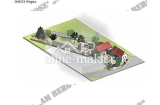 Immobilie kaufen in Am Berg 20, 04523 Pegau, Bauernhof mit Garten Wohnhaus Scheune