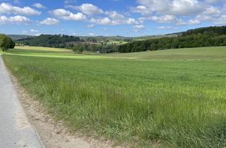 Immobilie kaufen in 92714 Pleystein, Landwirtschaftliche Fläche im Bereich Pleystein zu verkaufen!