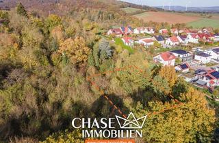 Immobilie kaufen in 31789 Hameln, Freizeitgrundstück beim Hottenbergsfeld - Gartenland oder Anlage bei Hameln, Rohrsen!