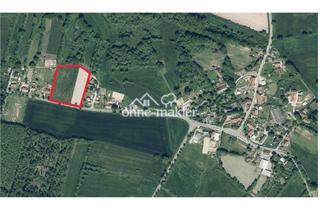 Immobilie kaufen in 21354 Bleckede, Ihr Traumhaus im Grünen