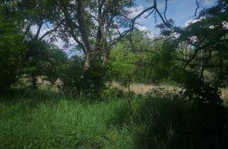 Lager kaufen in 04838 Eilenburg, SHAREDEAL - ca. 4,5 ha großes Grundstück mit Bestandsgebäuden