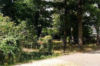 Immobilie kaufen in 15831 Mahlow, Großes Baugrundstück mit Teilungspotenzial in zentraler Lage von Mahlow